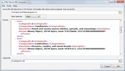 DTM Text to XML Converter main window