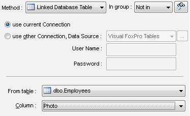 DTM Data Generator: loading large objects from the database table