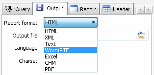 DTM Query Reporter: the report format list