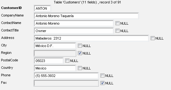 DTM Data Editor: The record editor form