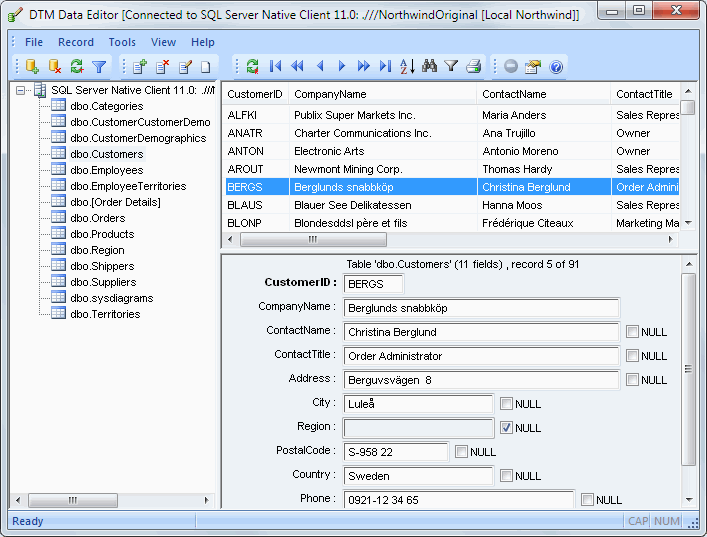 DTM Data Editor: main database editor window
