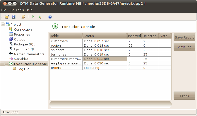 DTM Data Generator Runtime (Multiplatform Edition): execution console window