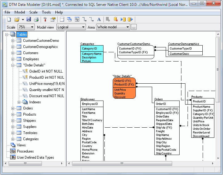 DTM Data Modeler main window