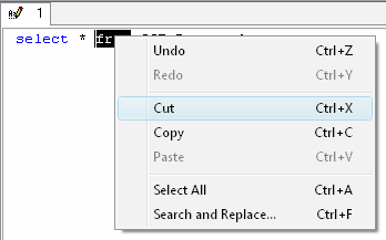 DTM SQL editor: script editor context menu
