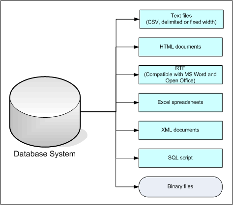 DTM Migration Kit: data export process